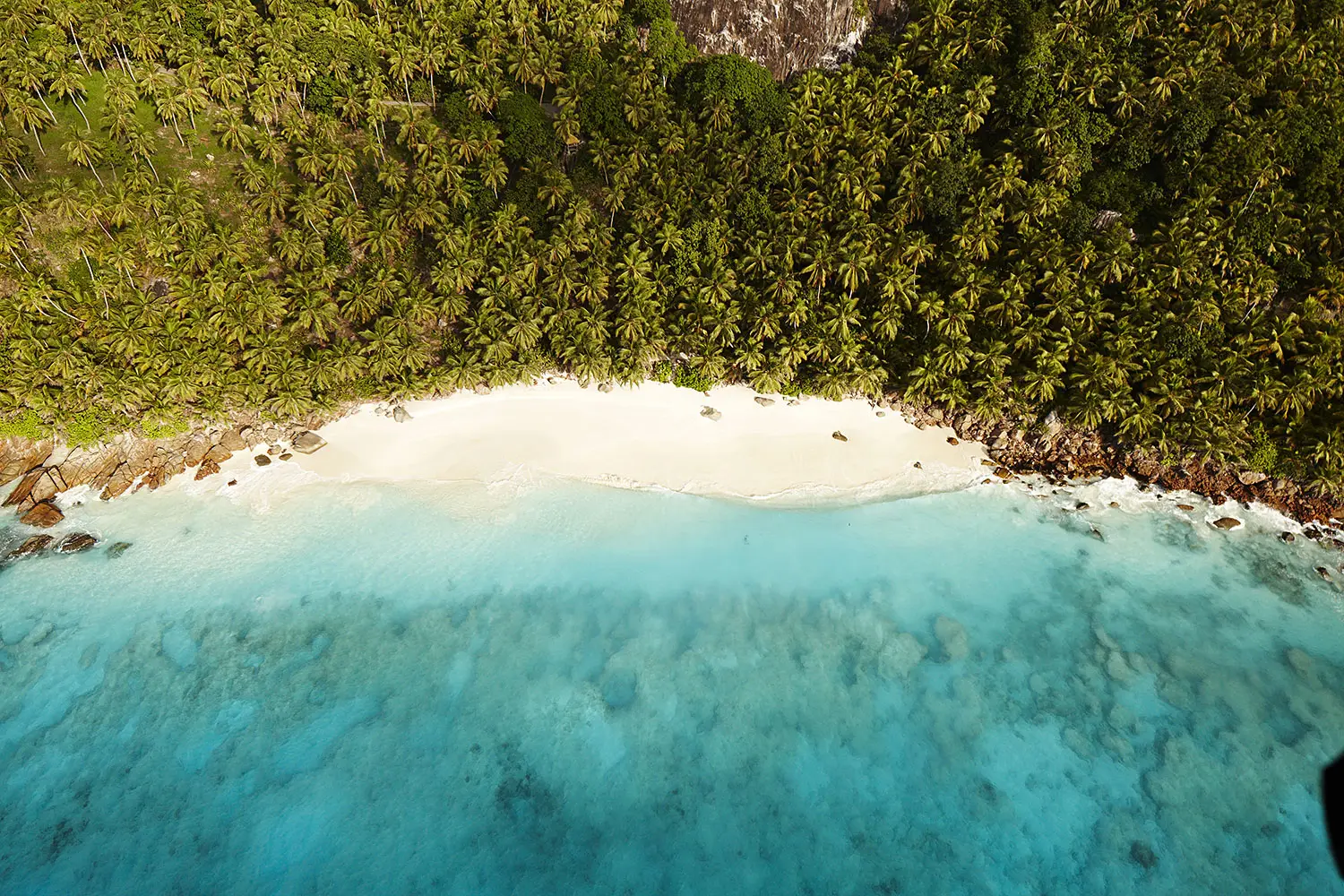 Natur und Strandpfade auf Fregate Island.